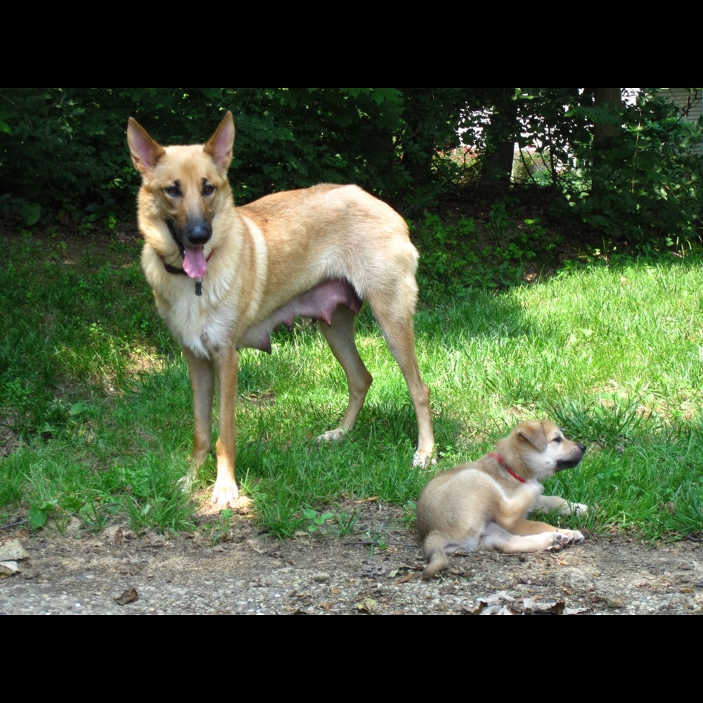 Meet your Posher, Morel